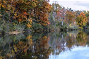 Panoramic of lake front with autumn trees