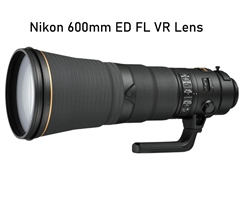 Nikon 600mm f/4 FL ED Lens Review
