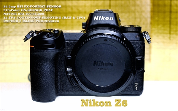Nikon Z6 Mirrorless Camera Review - Real World