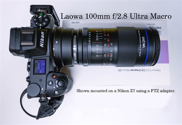 Laowa 100mm f/2.8 Ultra Macro Review