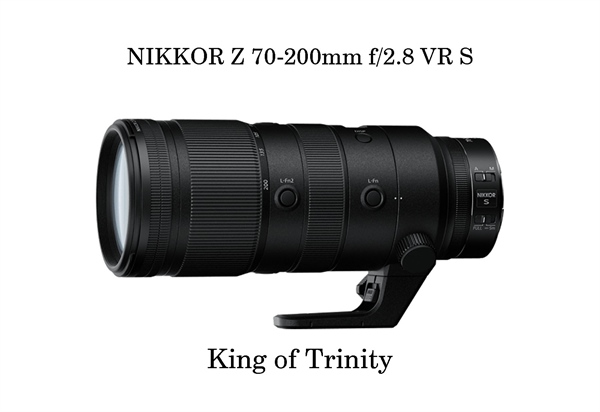 NIKON Z 70-200mm f/2.8 VR S Review