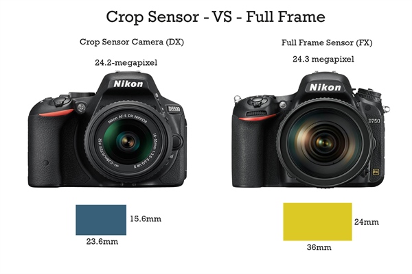 DX vs FX Crop Sensor