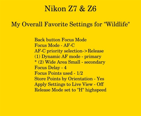 Improve Focus for a Nikon Z6 or Z7 Camera