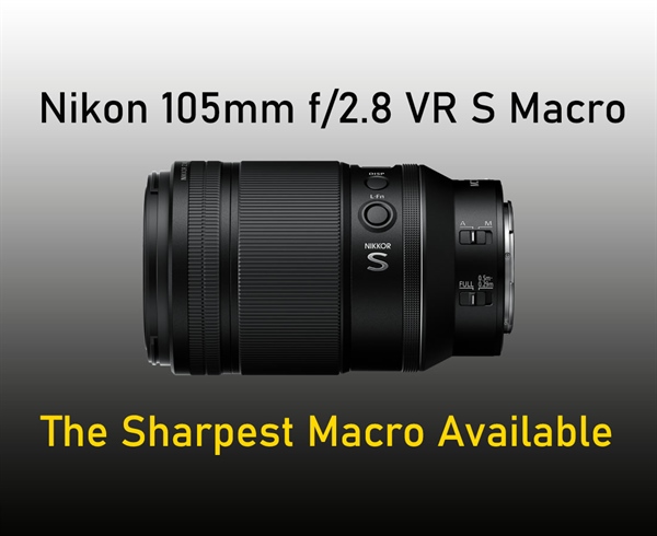 Nikon 105mm f/2.8 VR S Macro Lens Review