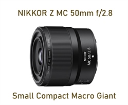 NIKKOR Nikon Z MC 50mm f/2.8 Macro Lens Review