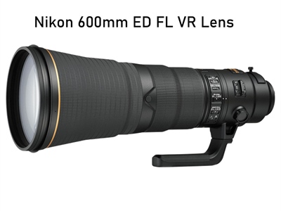 Nikon 600mm f/4 FL ED Lens Review