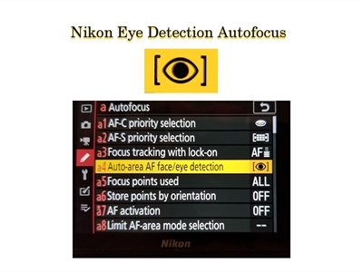 Nikon Z Eye Detection and AF Improvements Firmware Update