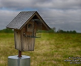 Bird Nesting box in early spring