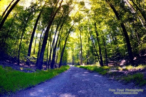 Nature Trail