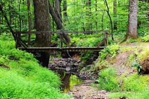 Bridge Over Stream