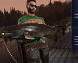 Amur Catfish