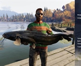 Amur Catfish