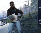 Chum Salmon