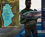 Rainbow Trout 