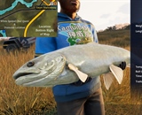 White Spotted Char
