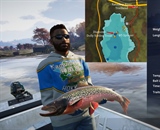 Dolly Varden Trout