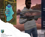 Rainbow Trout