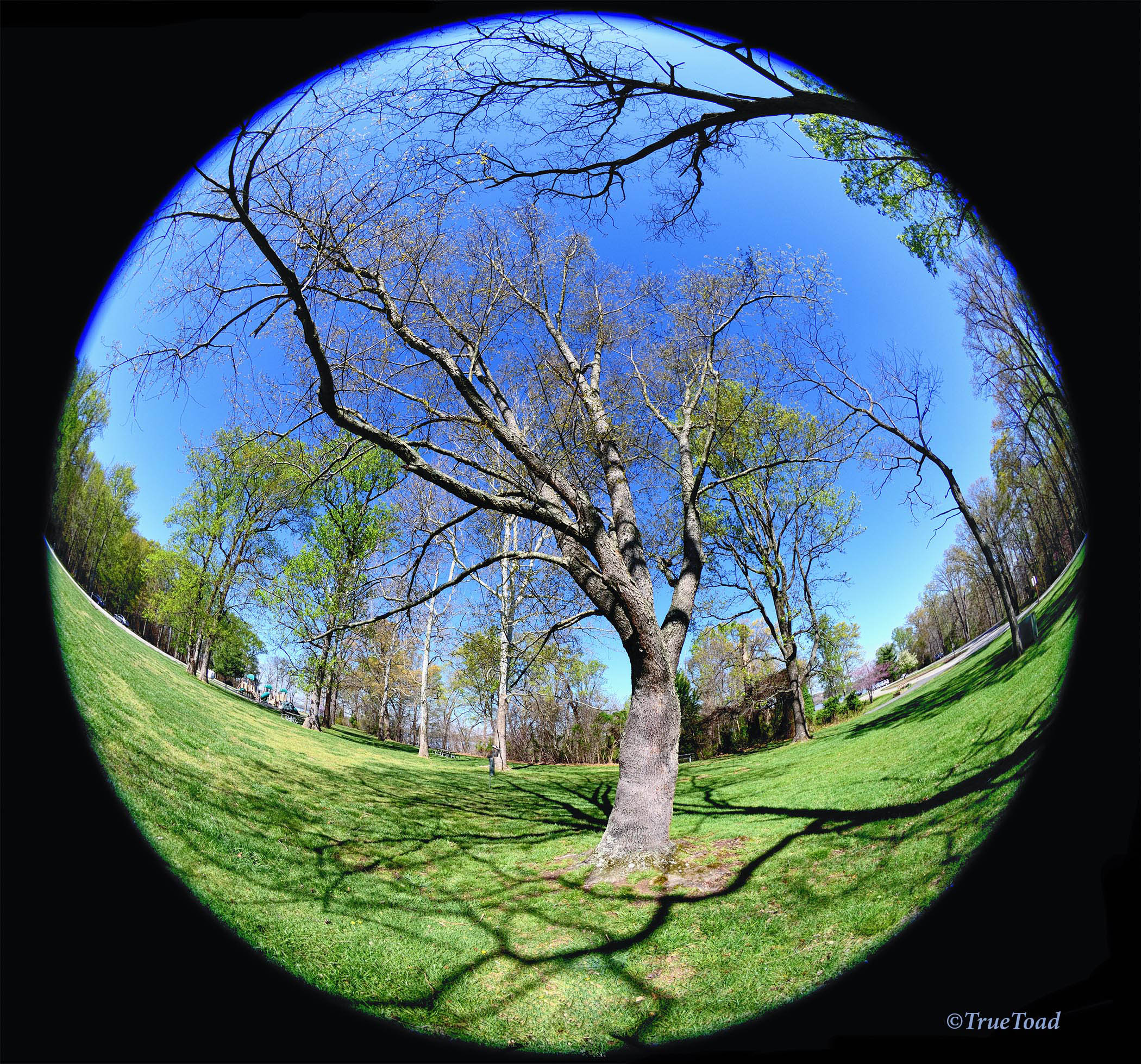 Sigma Fisheye Lens 8mm F 3 5 Images With Review