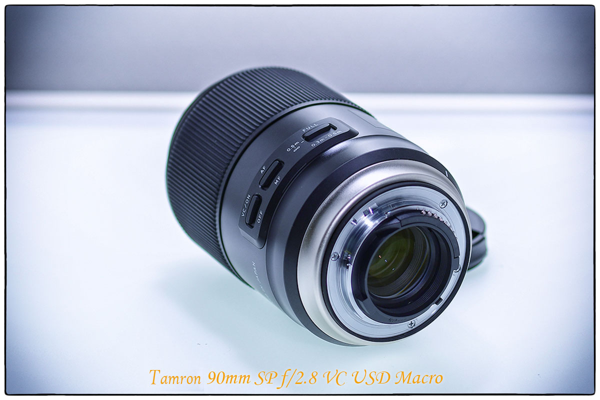 Nikon 105mm Macro versus Tamron 90mm Macro SP VC USD Nikon 105mm Macro versus Tamron 90mm Macro SP VC USD