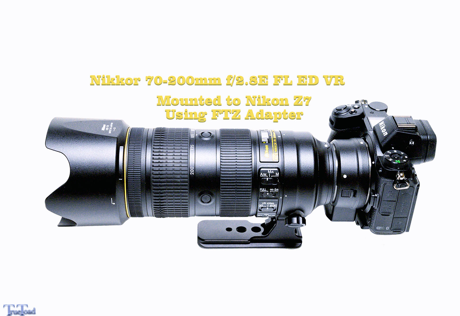 Nikon 70-200mm f/2.8E FL ED VR Lens Review TrueToad Photo